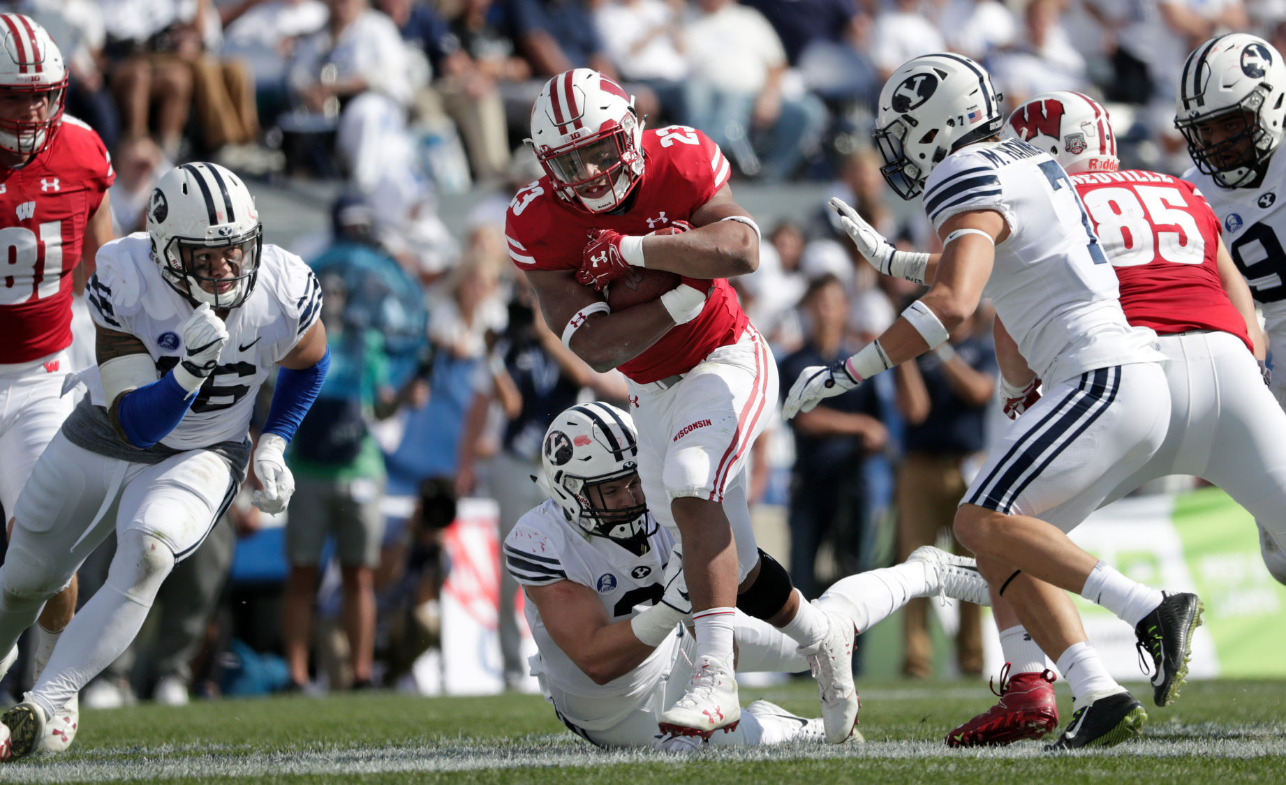 Badgers vs. Cougars